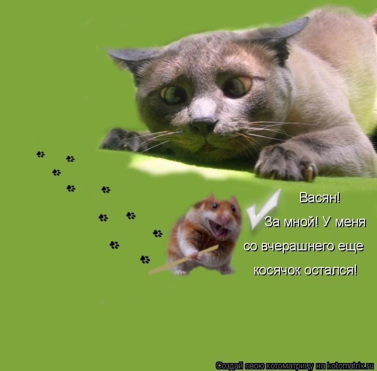 Котоматрица: Васян! За мной! У меня со вчерашнего еще косячок остался!