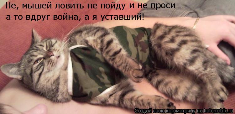 Котоматрица: Не, мышей ловить не пойду и не проси а то вдруг война, а я уставший!