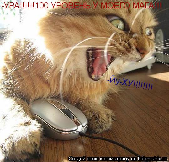 Котоматрица: -УРА!!!!!!100 УРОВЕНЬ У МОЕГО МАГА!!! -Йу-ХУ!!!!!!!!