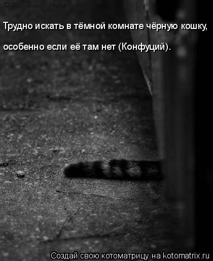 Котоматрица: Трудно искать в тёмной комнате чёрную кошку,  особенно если её там нет (Конфуций).