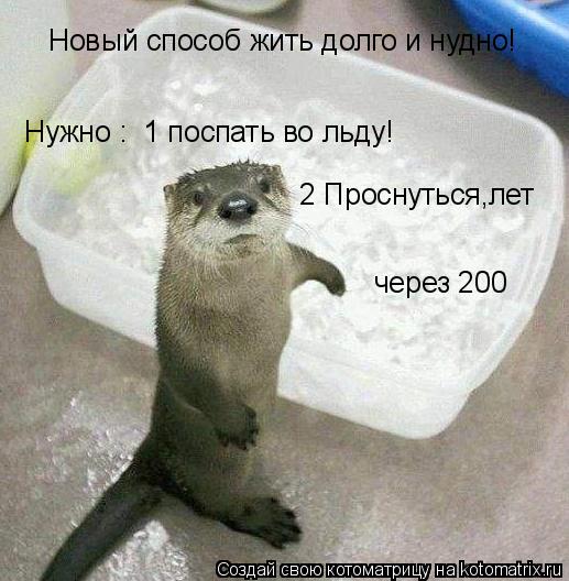 Котоматрица: Новый способ жить долго и нудно! Нужно :  1 поспать во льду! 2 Проснуться,лет через 200