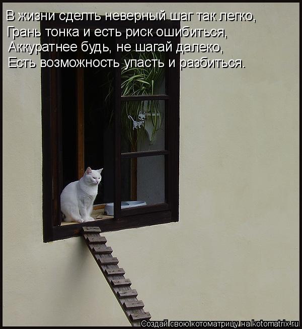 Котоматрица: В жизни сделть неверный шаг так легко, Грань тонка и есть риск ошибиться, Аккуратнее будь, не шагай далеко, Есть возможность упасть и разбит