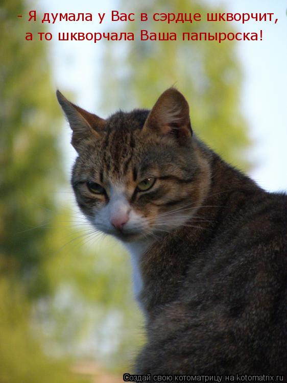 Котоматрица: - Я думала у Вас в сэрдце шкворчит, а то шкворчала Ваша папыроска!