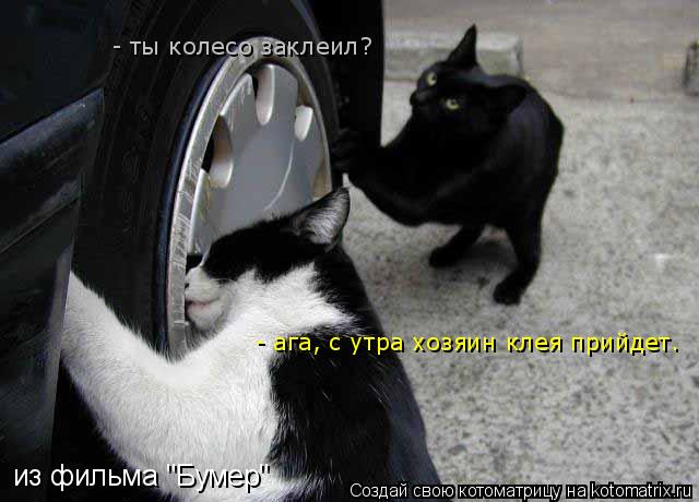 Котоматрица: из фильма "Бумер" - ты колесо заклеил? - ага, с утра хозяин клея прийдет.