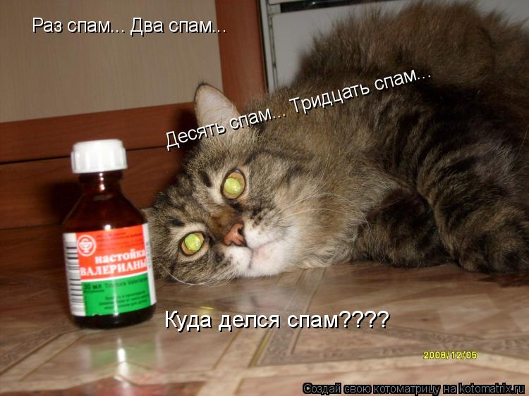 Котоматрица: Раз спам... Два спам...  Десять спам... Тридцать спам...  Куда делся спам????
