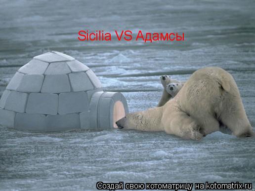 Котоматрица: Sicilia VS Адамсы