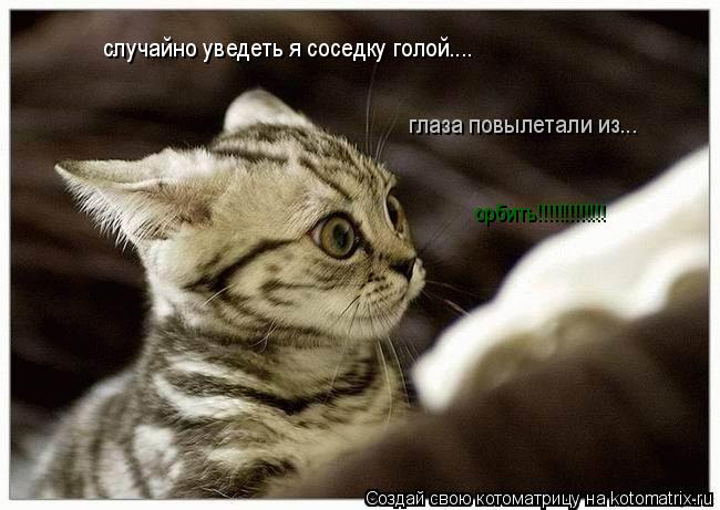 Котоматрица: случайно уведеть я соседку голой.... глаза повылетали из... орбить!!!!!!!!!!!!!