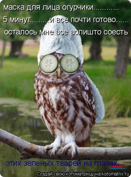 Котоматрица: маска для лица огурчики............ 5 минут.........и все почти готово...... осталось мне все волишто соесть этих зеленых тварей на глазах