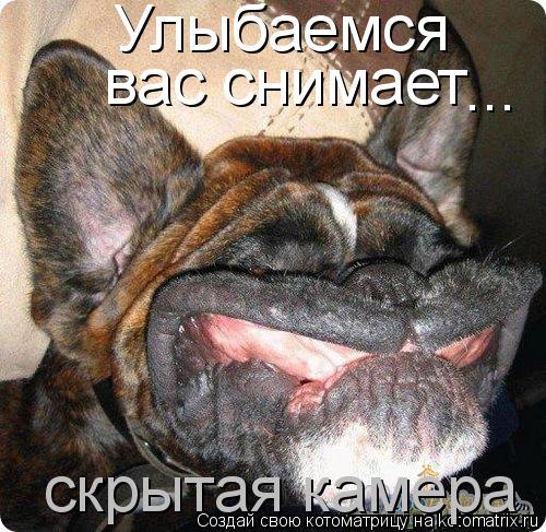 Котоматрица: Улыбаемся вас снимает  ... скрытая камера