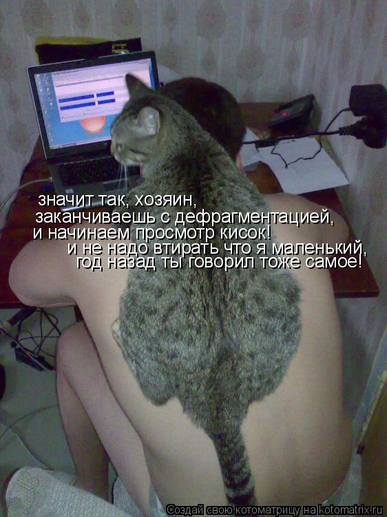 Котоматрица: значит так, хозяин,  заканчиваешь с дефрагментацией,  и начинаем просмотр кисок! и не надо втирать что я маленький, год назад ты говорил тоже 