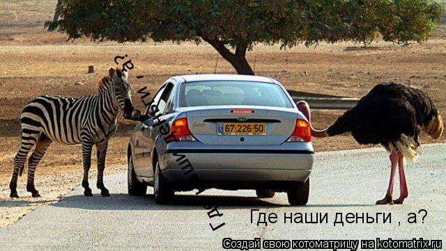 Где наши деньги , а? Где наши деньги , а?... Котоматрица: Где наши деньги , а? Где наши деньги , а?