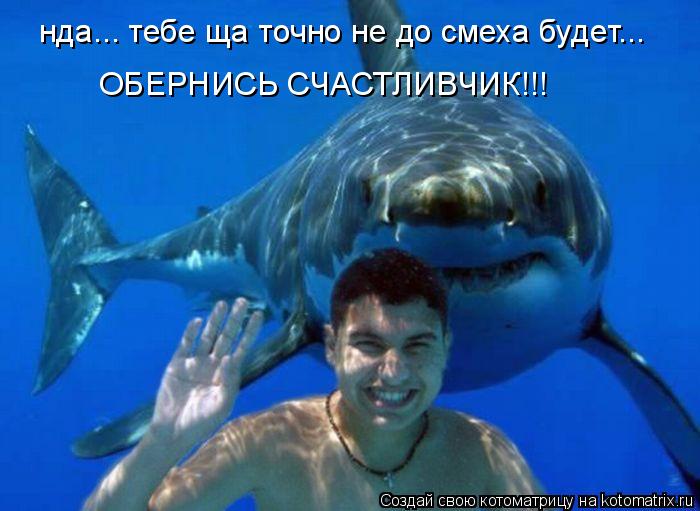 нда... тебе ща точно не до смеха будет... ОБЕРНИСЬ СЧАСТЛИВЧИК!!!... Котоматрица: нда... тебе ща точно не до смеха будет... ОБЕРНИСЬ СЧАСТЛИВЧИК!!!