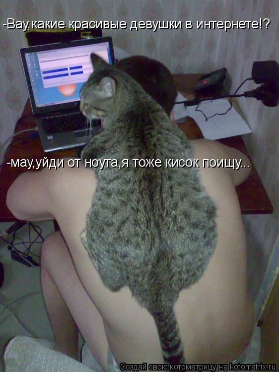 Котоматрица: -Вау,какие красивые девушки в интернете!? -мау,уйди от ноута,я тоже кисок поищу...