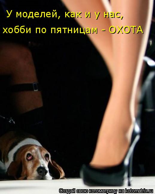 Котоматрица: У моделей, как и у нас,  хобби по пятницам - ОХОТА