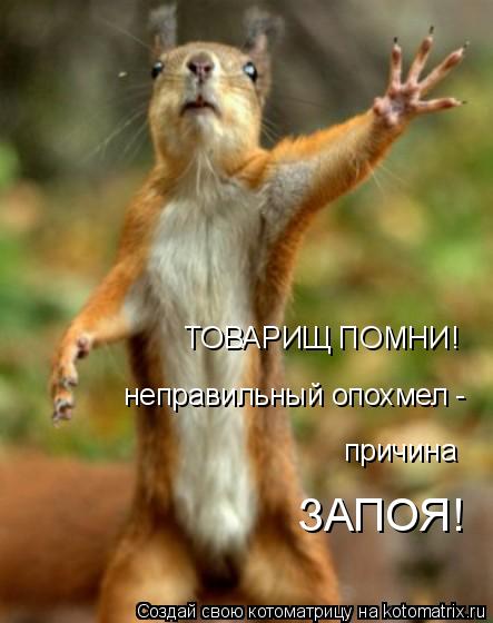 Котоматрица: ТОВАРИЩ ПОМНИ! неправильный опохмел -  причина ЗАПОЯ!