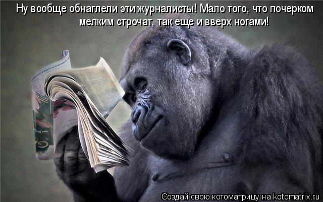 Ну вообще обнаглели эти журналисты! Мало того, что почерком мелким строчат, так еще и вверх ногами!... Котоматрица: Ну вообще обнаглели эти журналисты! Мало того, что почерком мелким строчат, так еще и вверх ногами!