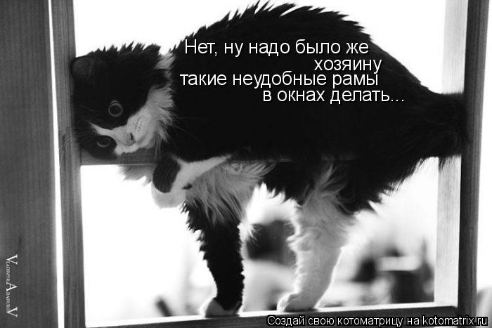 Нет, ну надо было же хозяину такие неудобные рамы в окнах делать...... Котоматрица: Нет, ну надо было же хозяину такие неудобные рамы в окнах делать...