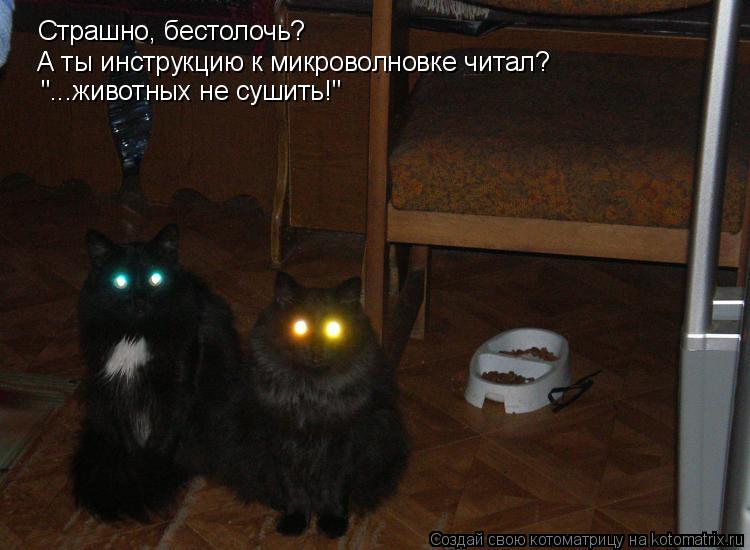 Страшно, бестолочь? А ты инструкцию к микроволновке читал? "...животных не сушить!"... Котоматрица: Страшно, бестолочь? А ты инструкцию к микроволновке читал? "...животных не сушить!"