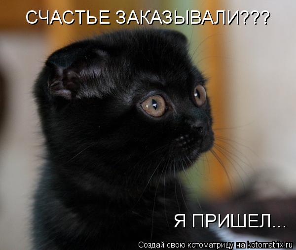 СЧАСТЬЕ ЗАКАЗЫВАЛИ??? Я ПРИШЕЛ...... Котоматрица: СЧАСТЬЕ ЗАКАЗЫВАЛИ??? Я ПРИШЕЛ...