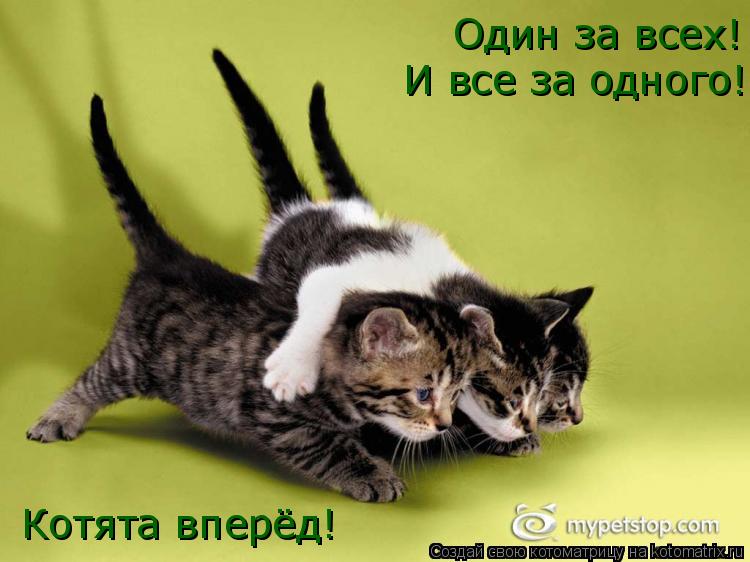Один за всех! И все за одного! Котята вперёд!... Котоматрица: Один за всех! И все за одного! Котята вперёд!