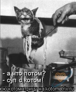 - а что потом? - суп с котом!... Котоматрица: - а что потом? - суп с котом!