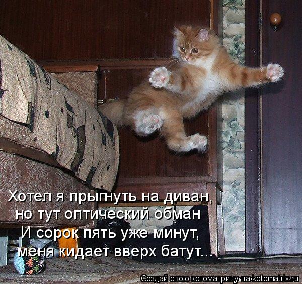 Хотел я прыгнуть на диван, но тут оптический обман И сорок пять уже минут, меня кидает вверх батут..... Котоматрица: Хотел я прыгнуть на диван, но тут оптический обман И сорок пять уже минут, меня кидает вверх батут...