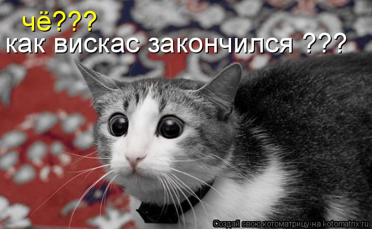 чё??? как вискас закончился ???... Котоматрица: чё??? как вискас закончился ???