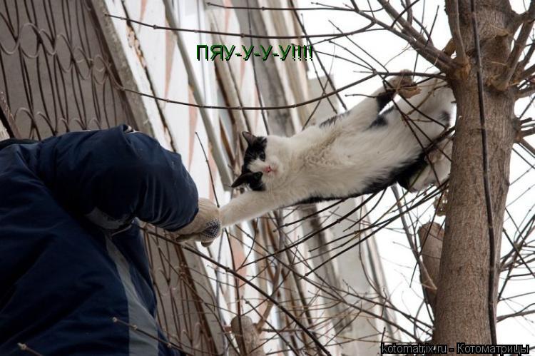 ПЯУ-У-У-У!!!!... Котоматрица: ПЯУ-У-У-У!!!!