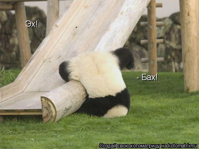 Эх! - Бах!... Котоматрица: Эх! - Бах!