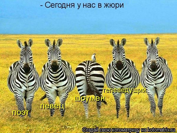 - Сегодня у нас в жюри поэт певец шоумен телеведущий... Котоматрица: - Сегодня у нас в жюри поэт певец шоумен телеведущий