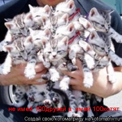 не имей 100друзей а имей 100котят... Котоматрица: не имей 100друзей а имей 100котят