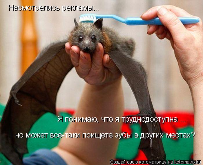 Насмотрелись рекламы... но может все-таки поищете зубы в других местах? Я понимаю, что я труднодосту... Котоматрица: Насмотрелись рекламы... но может все-таки поищете зубы в других местах? Я понимаю, что я труднодоступна ...