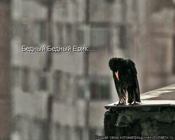 Бедный Бедный Ерик....... Котоматрица: Бедный Бедный Ерик....