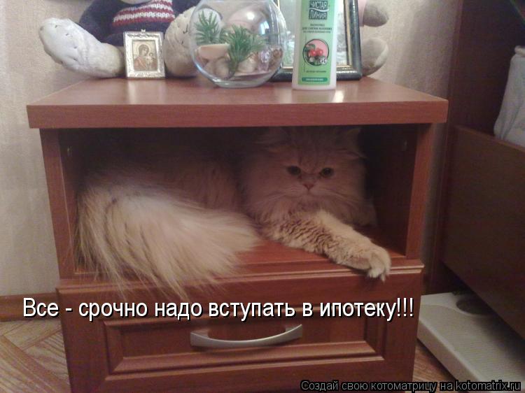 Все - срочно надо вступать в ипотеку!!!... Котоматрица: Все - срочно надо вступать в ипотеку!!!