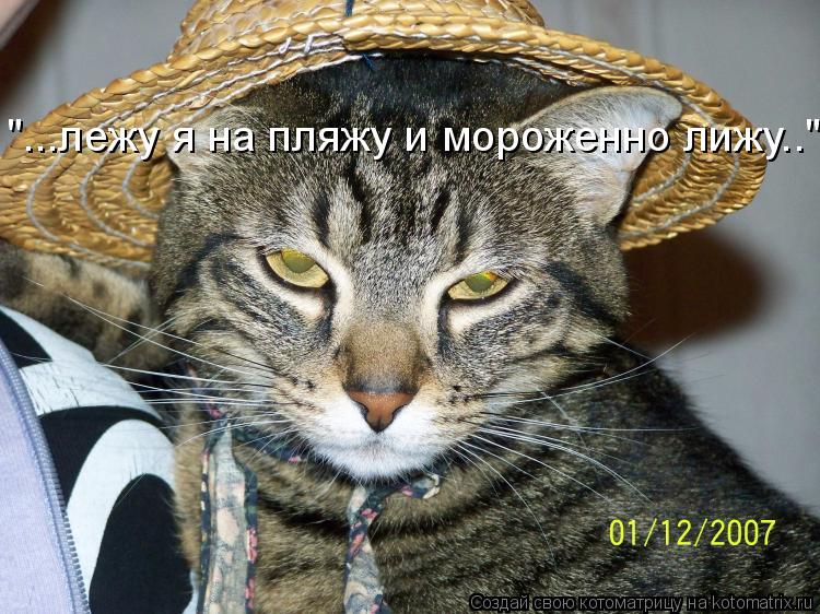 "...лежу я на пляжу и мороженно лижу.."... Котоматрица: "...лежу я на пляжу и мороженно лижу.."