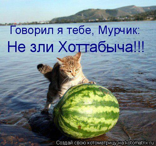 Говорил я тебе, Мурчик: Не зли Хоттабыча!!!... Котоматрица: Говорил я тебе, Мурчик: Не зли Хоттабыча!!!