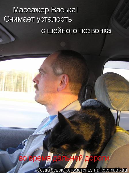 Массажер Васька! Снимает усталость с шейного позвонка во время дальней дороги... Котоматрица: Массажер Васька! Снимает усталость с шейного позвонка во время дальней дороги