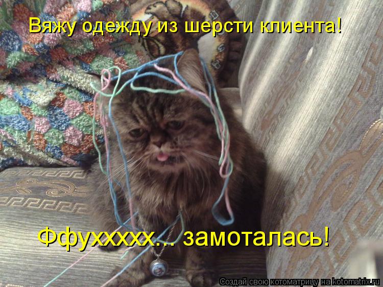 Вяжу одежду из шерсти клиента! Ффуххххх... замоталась!... Котоматрица: Вяжу одежду из шерсти клиента! Ффуххххх... замоталась!