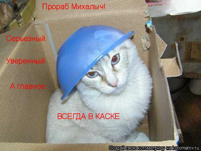 Прораб Михалыч! Серьезный Уверенный А главное: ВСЕГДА В КАСКЕ... Котоматрица: Прораб Михалыч! Серьезный Уверенный А главное: ВСЕГДА В КАСКЕ