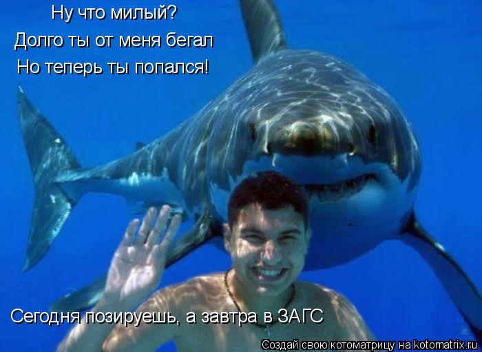 Ну что милый? Долго ты от меня бегал Но теперь ты попался! Сегодня позируешь, а завтра в ЗАГС... Котоматрица: Ну что милый? Долго ты от меня бегал Но теперь ты попался! Сегодня позируешь, а завтра в ЗАГС