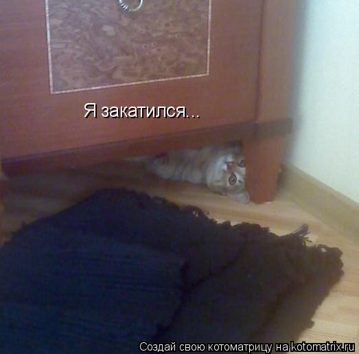 Я закатился...... Котоматрица: Я закатился...
