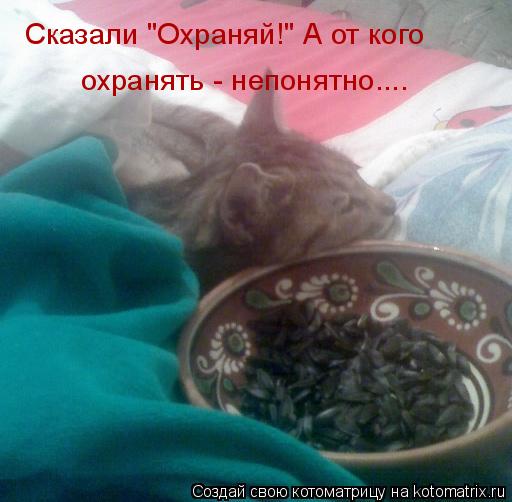 Сказали "Охраняй!" А от кого охранять - непонятно....... Котоматрица: Сказали "Охраняй!" А от кого охранять - непонятно....