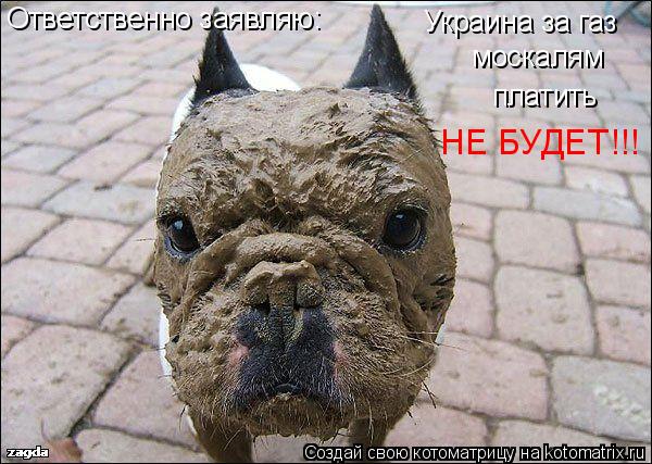 Ответственно заявляю: Украина за газ москалям платить НЕ БУДЕТ!!!... Котоматрица: Ответственно заявляю: Украина за газ москалям платить НЕ БУДЕТ!!!