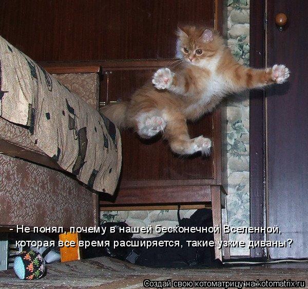 которая все время расширяется, такие узкие диваны? - Не понял, почему в нашей бесконечной Вселенной,... Котоматрица: которая все время расширяется, такие узкие диваны? - Не понял, почему в нашей бесконечной Вселенной,