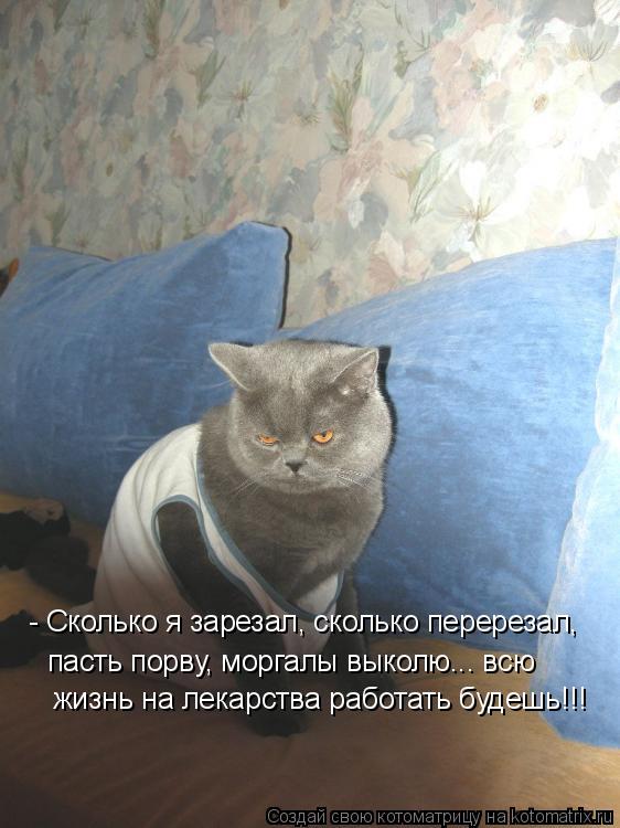 - Сколько я зарезал, сколько перерезал, пасть порву, моргалы выколю... всю жизнь на лекарства работат... Котоматрица: - Сколько я зарезал, сколько перерезал, пасть порву, моргалы выколю... всю жизнь на лекарства работать будешь!!!