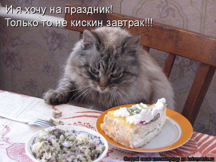 Котоматрица: И я хочу на праздник! Только то не кискин завтрак!!!