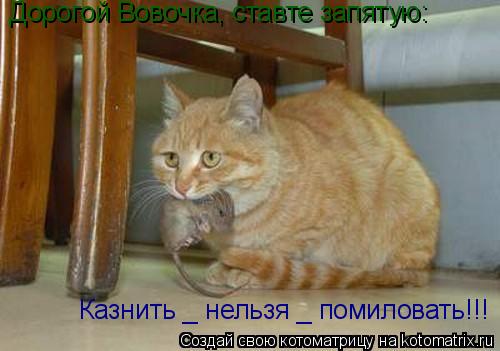 Дорогой Вовочка, ставте запятую: Казнить _ нельзя _ помиловать!!!... Котоматрица: Дорогой Вовочка, ставте запятую: Казнить _ нельзя _ помиловать!!!