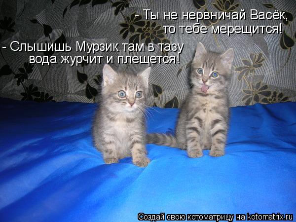 - Ты не нервничай Васёк, то тебе мерещится! - Слышишь Мурзик там в тазу вода журчит и плещется!... Котоматрица: - Ты не нервничай Васёк, то тебе мерещится! - Слышишь Мурзик там в тазу вода журчит и плещется!