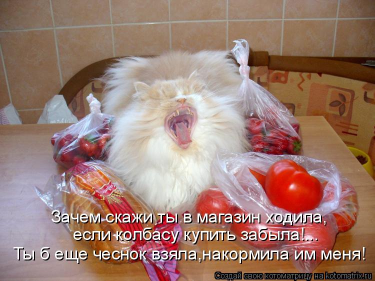 Котоматрица: Зачем скажи ты в магазин ходила, если колбасу купить забыла!... Ты б еще чеснок взяла,накормила им меня!