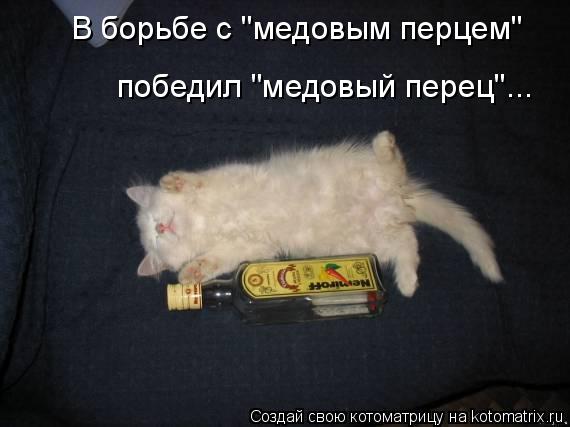В борьбе с "медовым перцем" победил "медовый перец"...... Котоматрица: В борьбе с "медовым перцем" победил "медовый перец"...